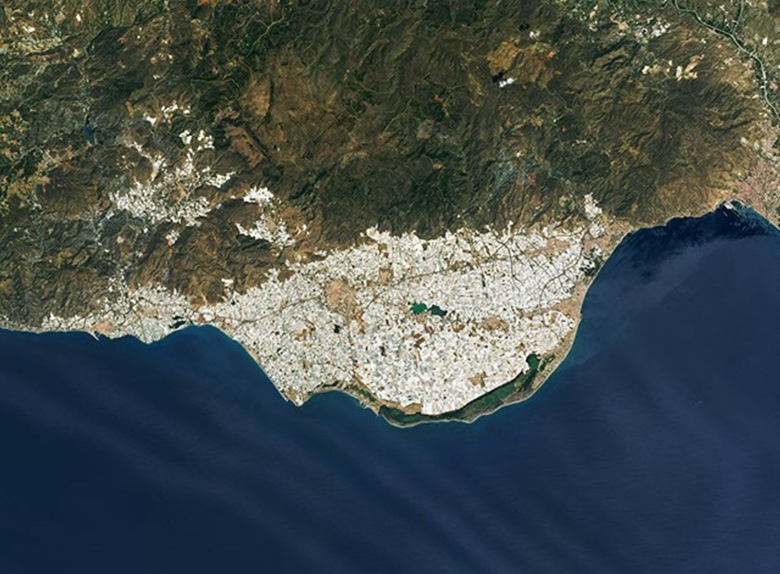 Satellite view of the sea of greenhouses on the Almería coast, around El Ejido and the CASI auction